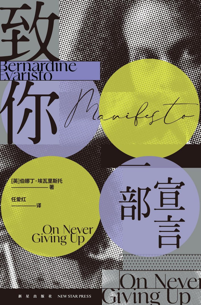 致你：一部宣言 [小说文学] - 夸克网盘 资源封面图