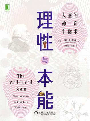 理性与本能：大脑的神奇平衡术 [人文社科] - 夸克网盘 资源封面图