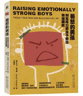 易怒的男孩：刻意练习带孩子走出情绪困境 - 夸克网盘 资源封面图