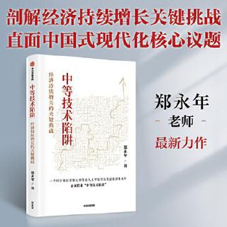 中等技术陷阱：经济持续增长的关键挑战 [经营管理] - 夸克网盘 资源封面图