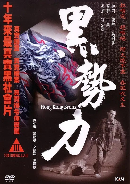 再见古惑仔 黑勢力 (2008) - 夸克网盘 资源封面图
