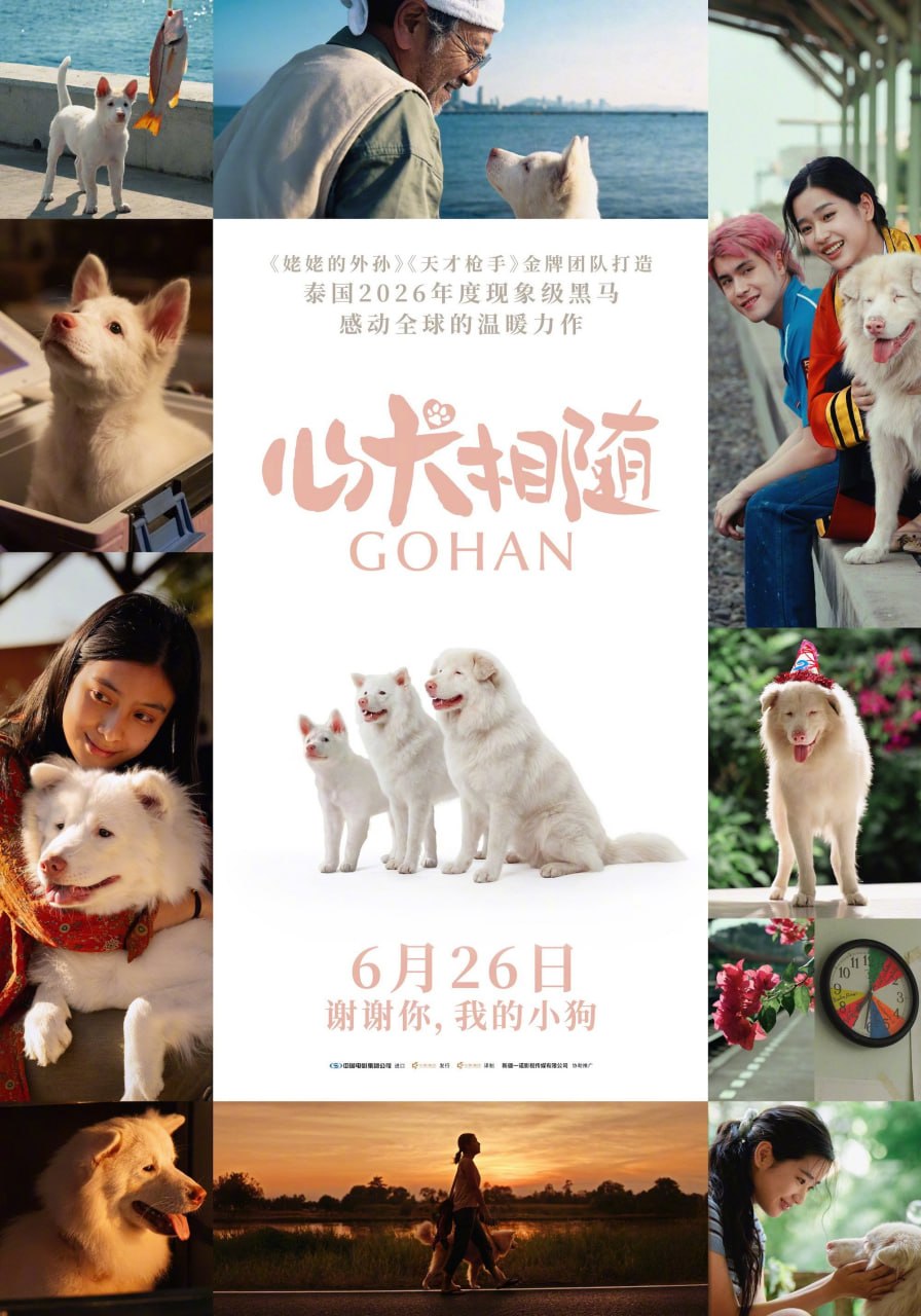 心犬相随 Gohan (2026) 日语/泰语外挂简繁中字.1080p.NF - 百度网盘 资源封面图
