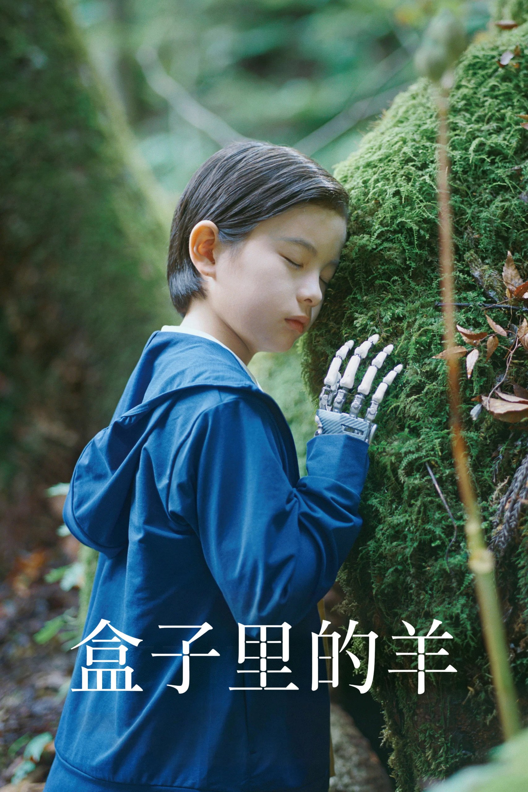 盒子里的羊 (2026) 1080P 内封简中字幕 - 百度网盘 资源封面图