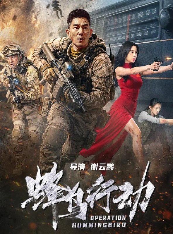 蜂鸟行动 (2026) 克拉拉 / 任贤齐 - 百度网盘 资源封面图