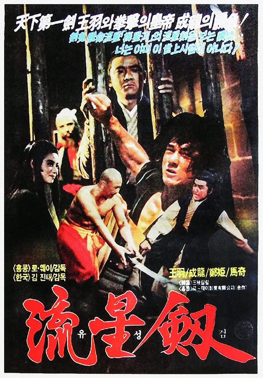 风雨双流星 風雨雙流星 (1976) - 夸克网盘 资源封面图