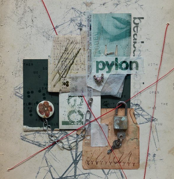 beabadoobee - Pylon (2026) FLAC - 迅雷云盘 资源封面图