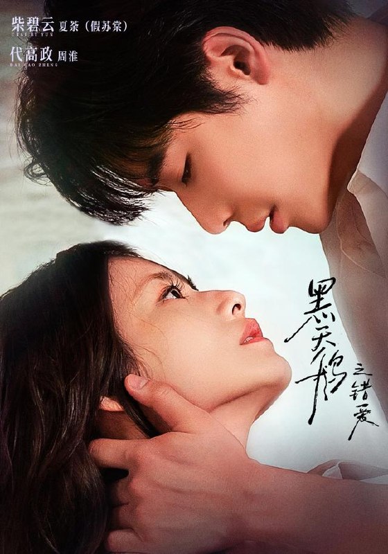 黑天鹅之错爱（68集）代高政＆柴碧云（1080P）|短剧 - 百度网盘 资源封面图