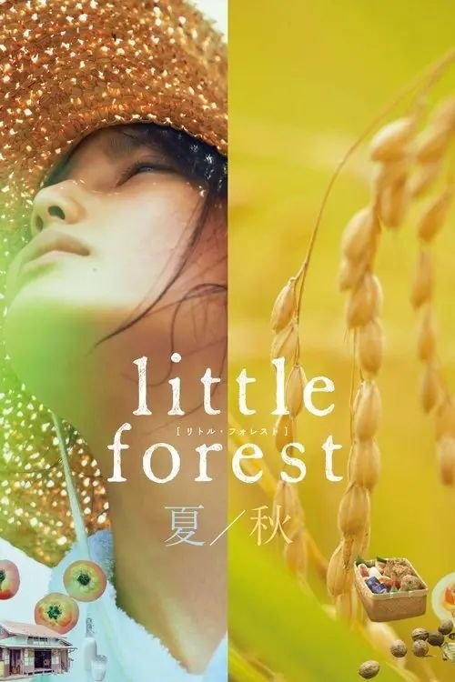 【原盘】小森林：夏秋篇 (2014) 1080P REMUX内封简繁字幕 - 百度网盘 资源封面图