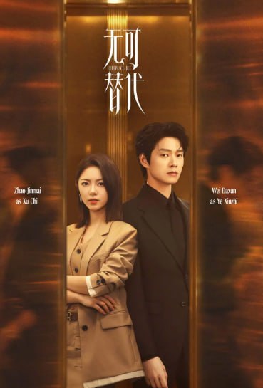 无可替代 (2026) 4K至10 - 迅雷云盘 资源封面图