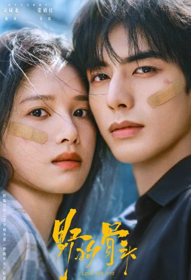 野狗骨头 (2026) 4K全32完结 - 迅雷云盘 资源封面图