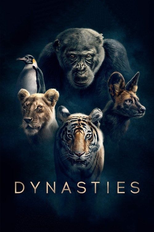 【原盘】王朝 第一季 (2018) 4K REMUX 外挂简英双语字幕 - 百度网盘 资源封面图