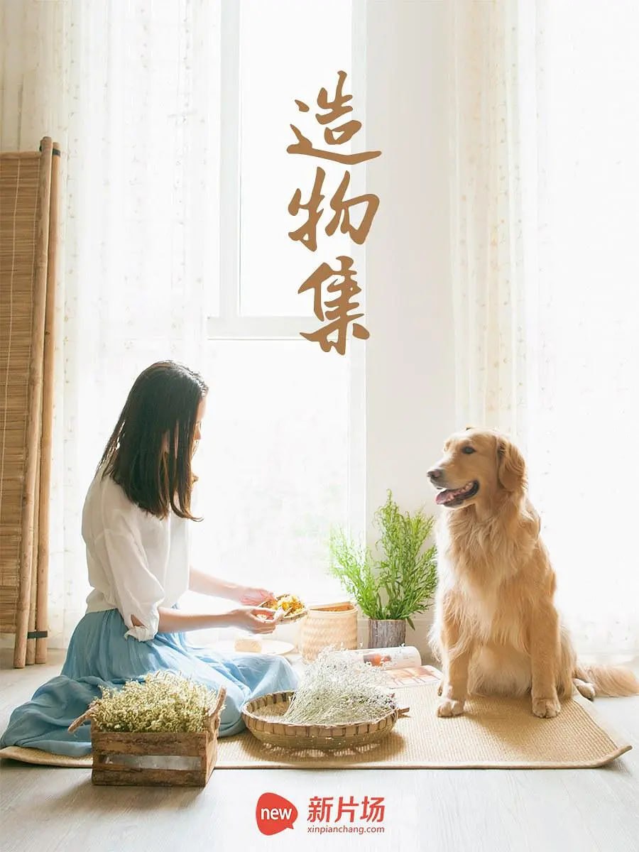 造物集 (2015) - 夸克网盘 资源封面图