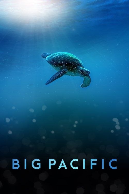 【原盘】大太平洋 (2017) 4K REMUX SDR 全5集 外挂简中字幕 - 百度网盘 资源封面图