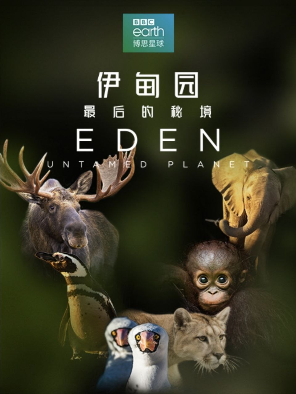 伊甸园：最后的秘境 (2021) 4K 全7集 简英双语硬字幕 - 百度网盘 资源封面图