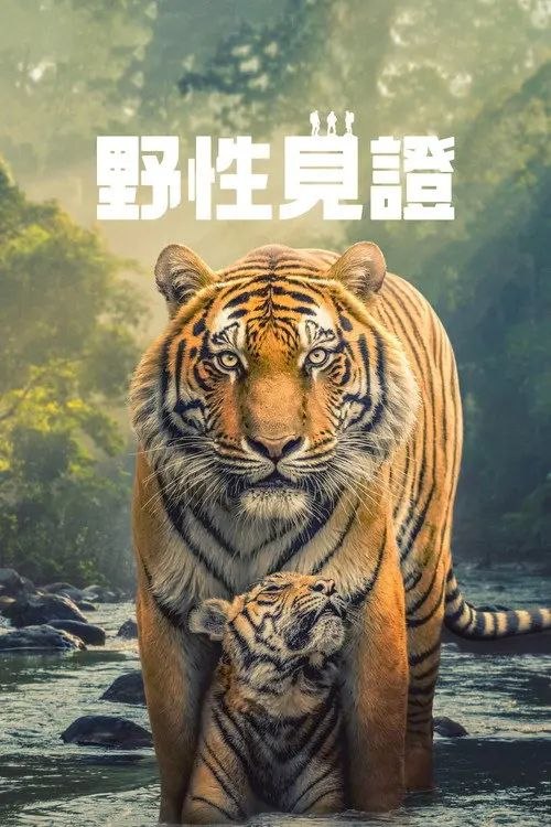 野性生灵 (2025) 4K 杜比视界 全6集 内封简繁英字幕 - 百度网盘 资源封面图
