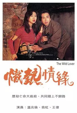 炽热情缘 (1995) 1080P 粤语 - 百度网盘 资源封面图