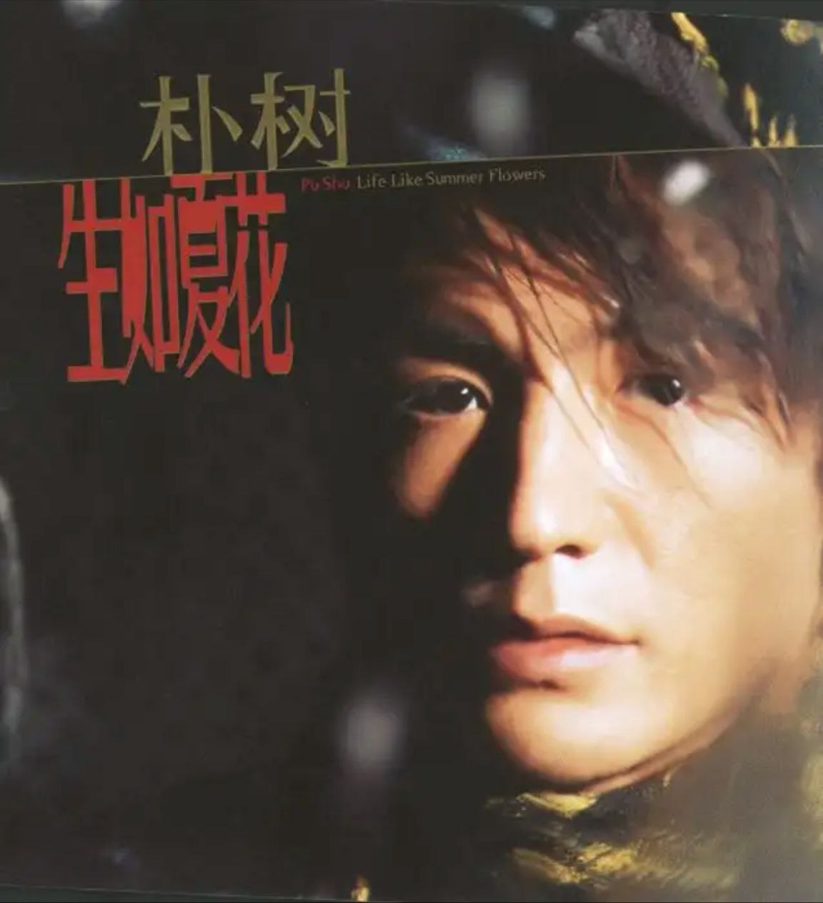 朴树 - 2003年专辑 - 生如夏花 Flac - 百度网盘 资源封面图