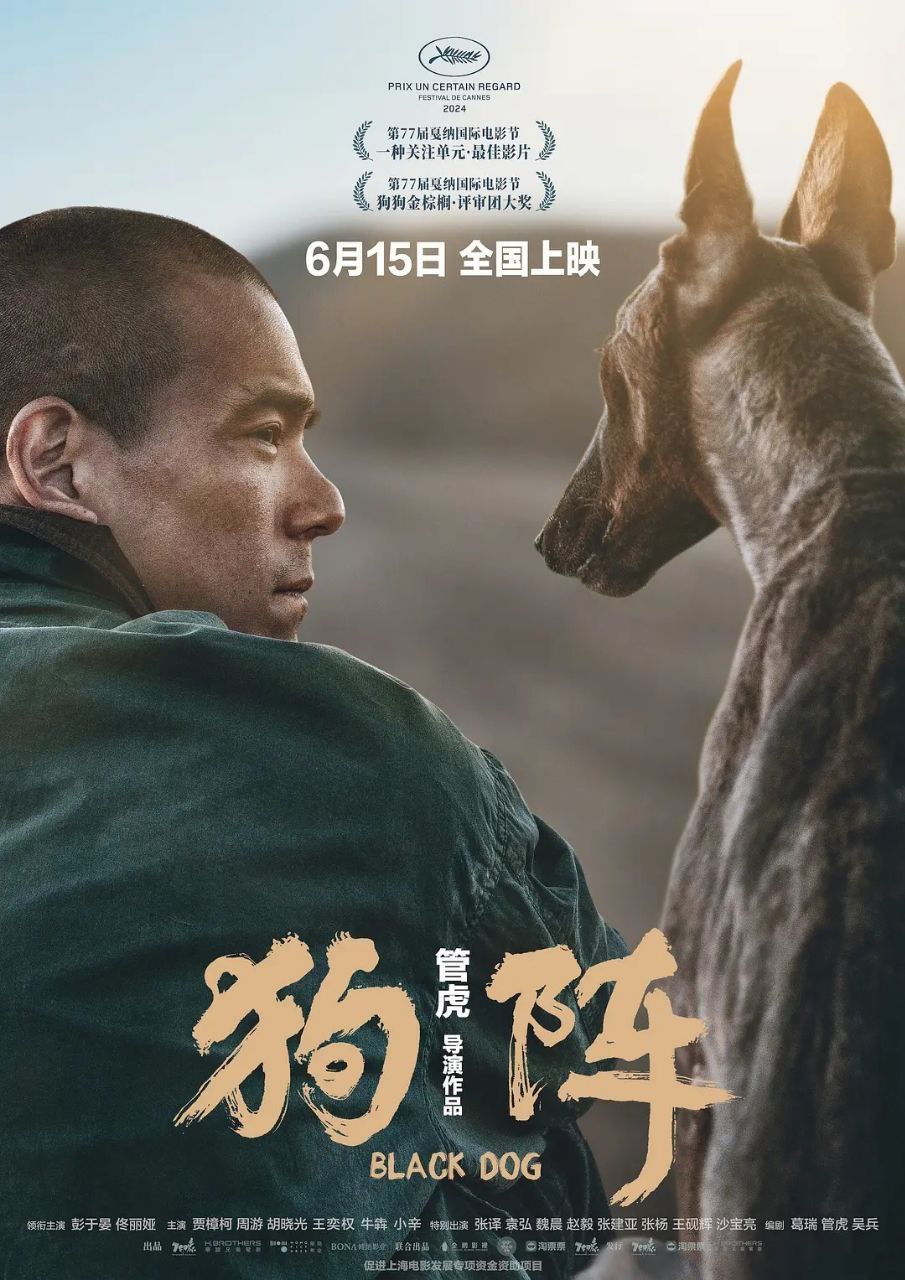 狗阵 (2024) 4K - 百度网盘 资源封面图