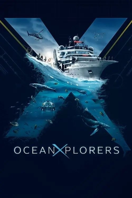 深海探秘 (2024) 4K 全6集 简英双语硬字幕 - 百度网盘 资源封面图