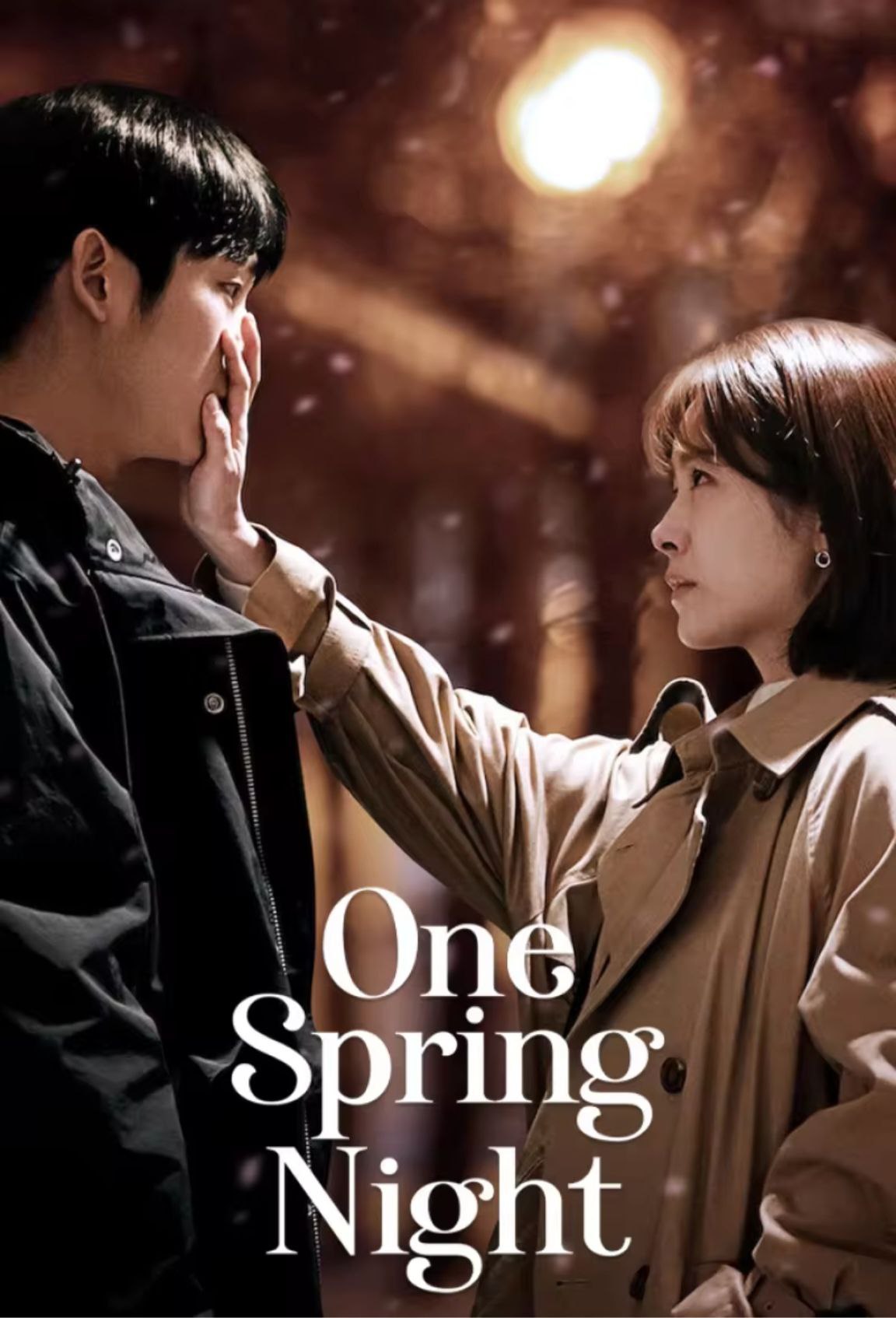 春夜 (2019) 1080P 全集 内封简繁字幕 - 百度网盘 资源封面图