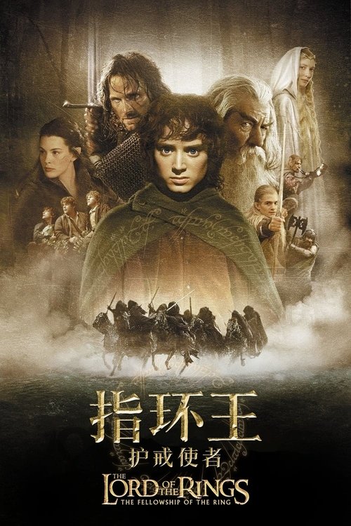 指环王1：护戒使者 (2001) 指环王系列13 - 115网盘 资源封面图