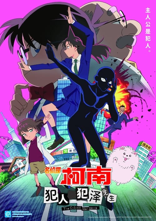 名侦探柯南：犯人犯泽先生 (2022) TV版1-1275集 - 115网盘 资源封面图