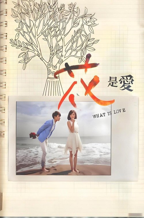 花是爱 (2012) 全24集 - 115网盘 资源封面图
