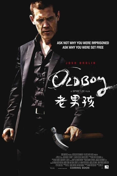 老男孩 (2013) [老男孩(美版) 2013][美版原盘 DIY简繁 双语字幕].iso - 115网盘 资源封面图