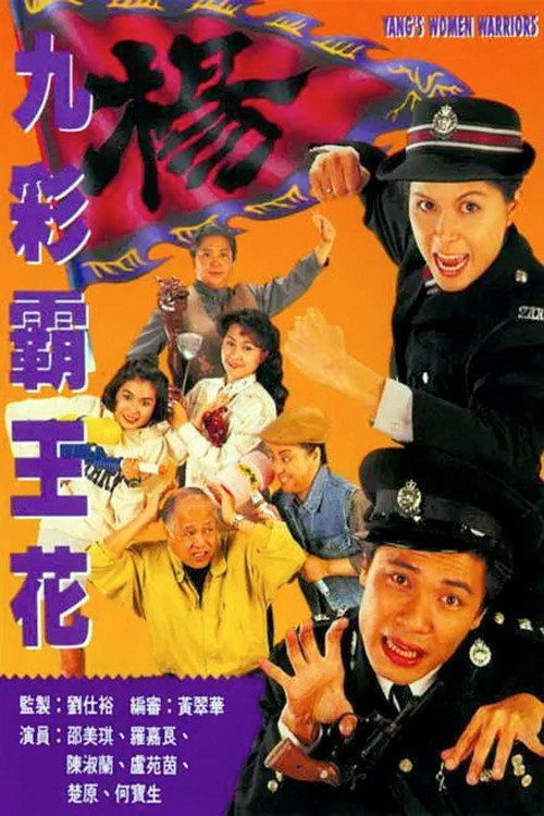 九彩霸王花 (1993) 1 - 115网盘 资源封面图