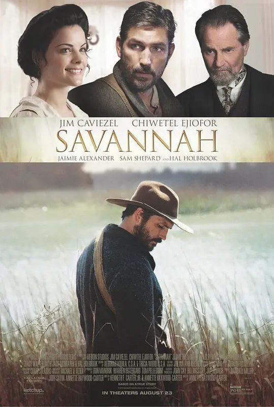 萨凡纳 Savannah (2013) - 夸克网盘 资源封面图