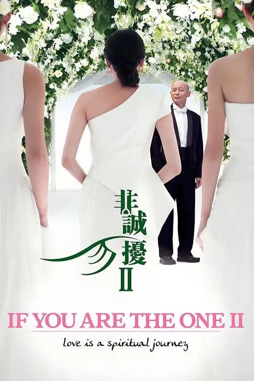非诚勿扰2 (2010) 4K - 夸克网盘 资源封面图