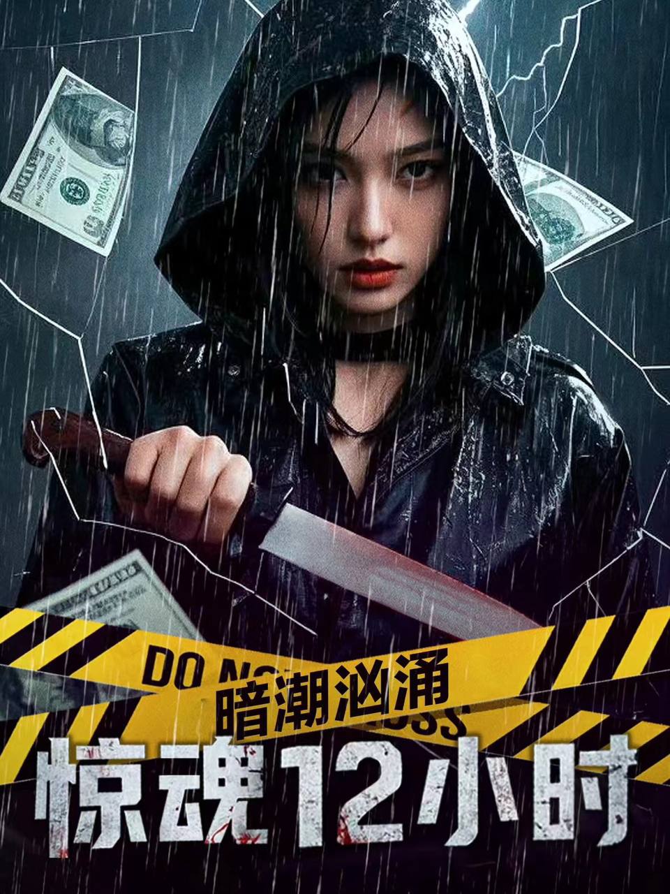 暗潮汹涌之惊魂12小时(2025) [内嵌简中] - 迅雷云盘 资源封面图