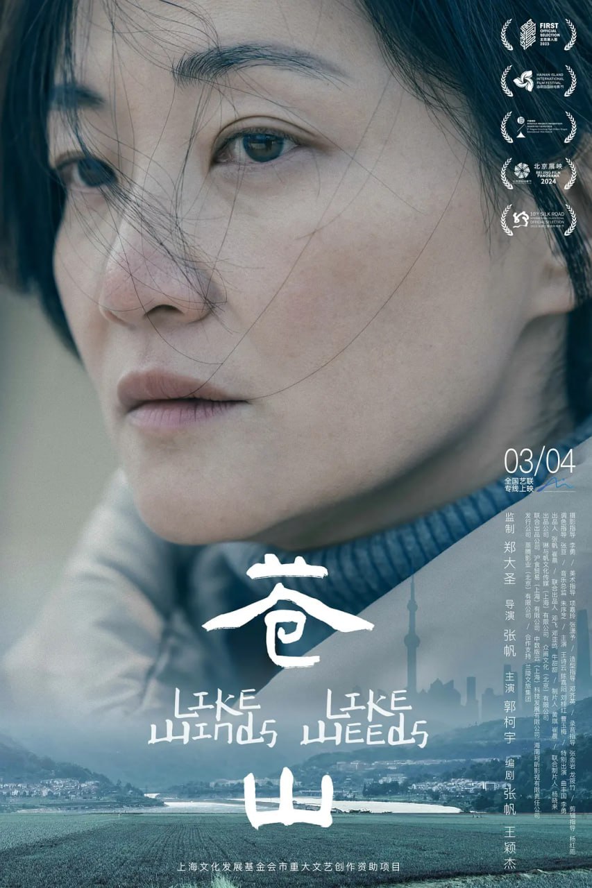 苍山 (2025) [4K] [国语中字] - 123云盘 资源封面图