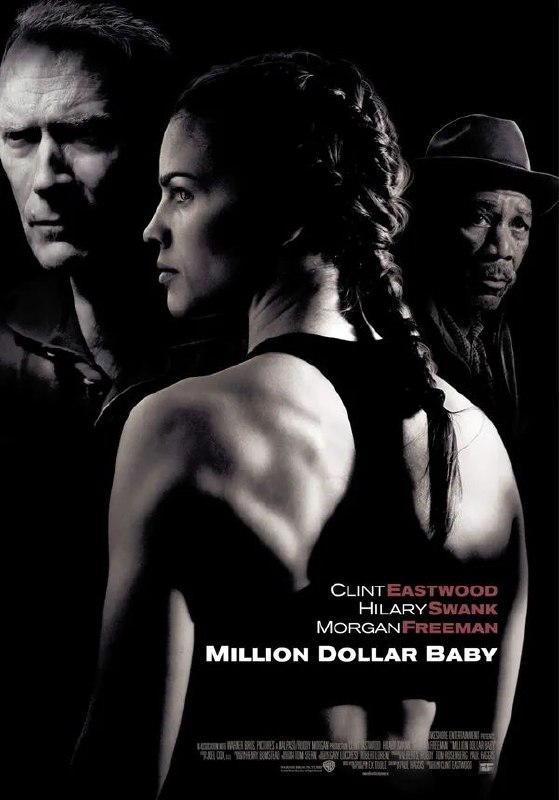 百万美元宝贝 (2004) 1080p 原盘REMUX 中文字幕 DTS-HD - 迅雷云盘 资源封面图