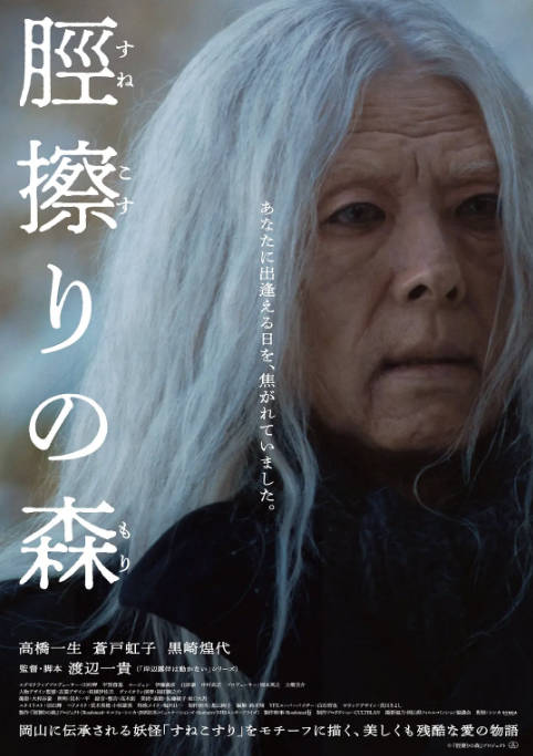 日本电影《胫擦之森》（2026）剧情 / 悬疑 - 夸克网盘 资源封面图