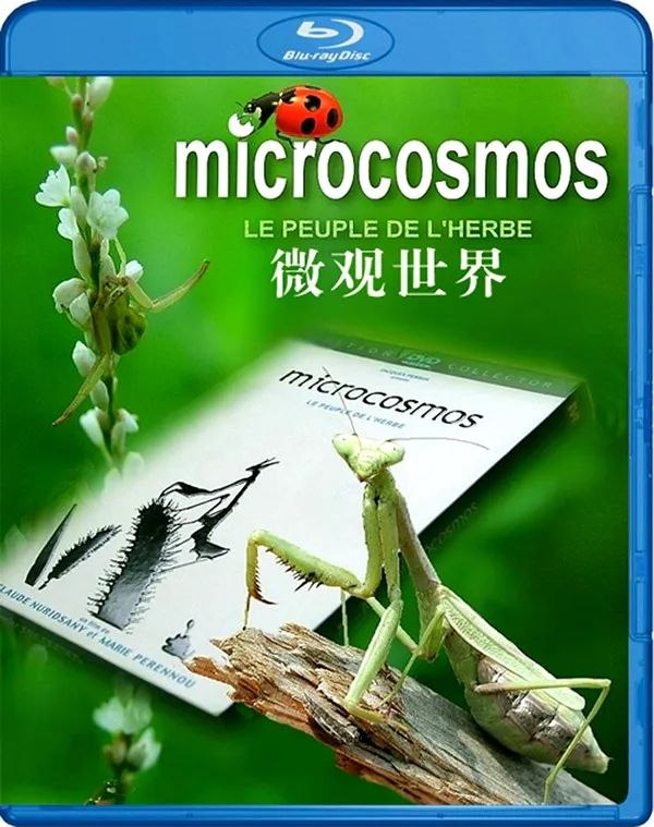 微观世界 (1996) 1080p 原盘REMUX 中文字幕 AVC DTS-HD MA 5.1 - 迅雷云盘 资源封面图