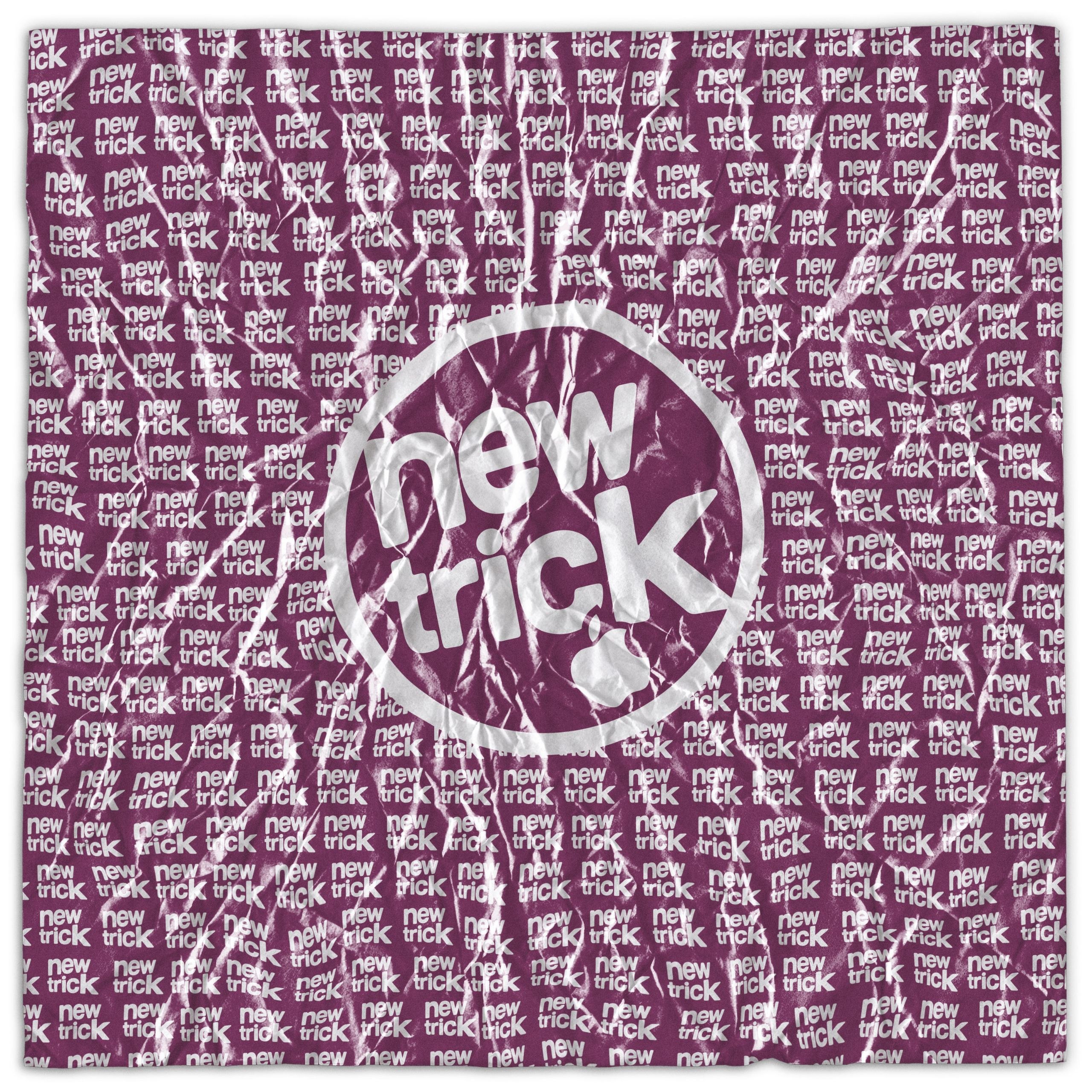 朴彩英 ROSÉ - new trick (2026) - FLAC 24bit 48khz+ 4K MV - 百度网盘 资源封面图