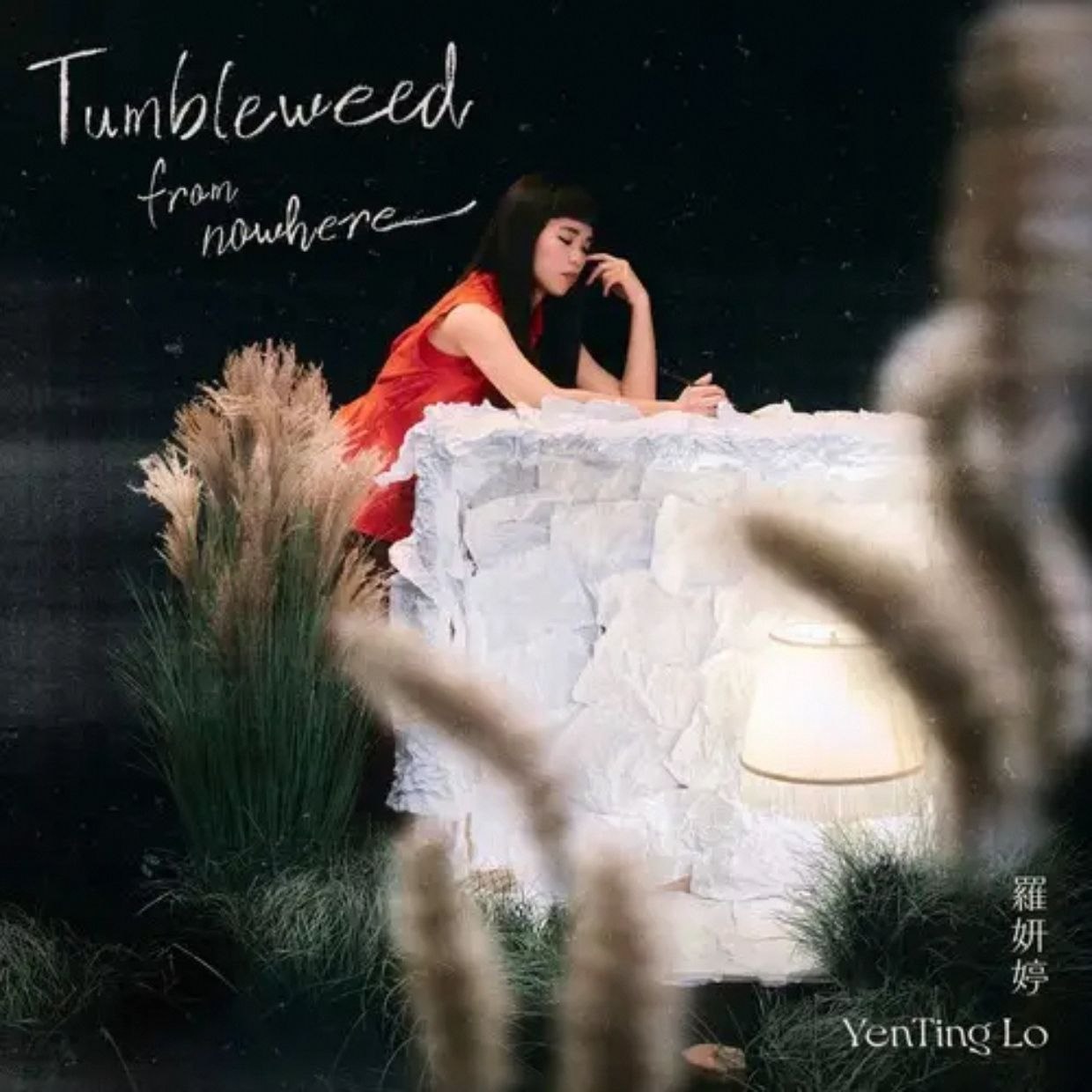 罗妍婷 - Tumbleweed from nowhere 2026 FLAC 24B-96.0kHz - 夸克网盘 资源封面图