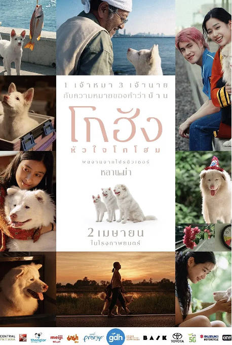 泰国电影《心犬相随》（2026）剧情 / 喜剧 / 爱情[夸克网盘] - 夸克网盘 资源封面图