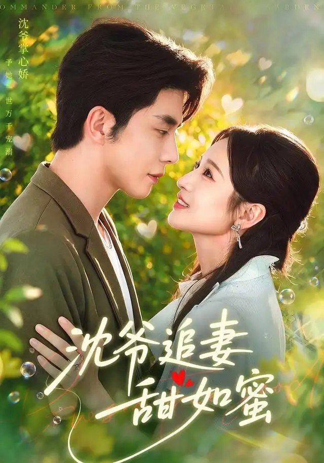 沈爷追妻甜如蜜（77集）秦琛琛＆戚羽佳 - 夸克网盘 资源封面图