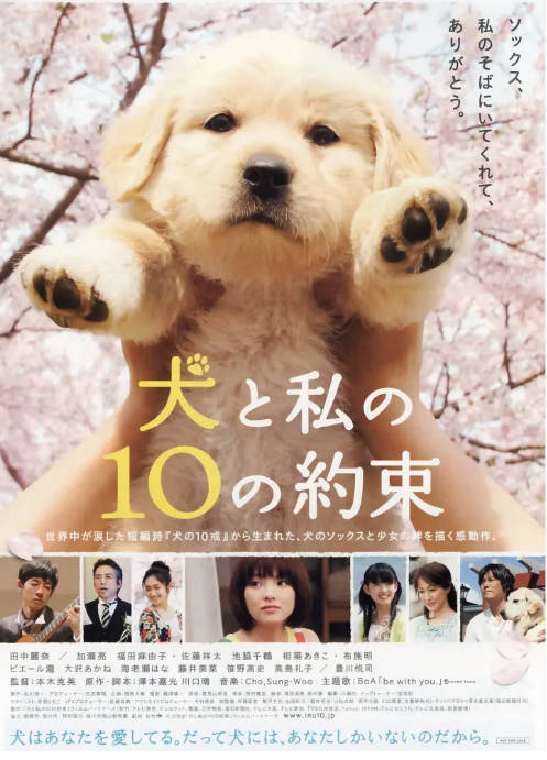 日本电影《狗狗与我的十个约定》（2008）剧情 / 喜剧 / 爱情 豆瓣8.1[夸克网盘] - 夸克网盘 资源封面图