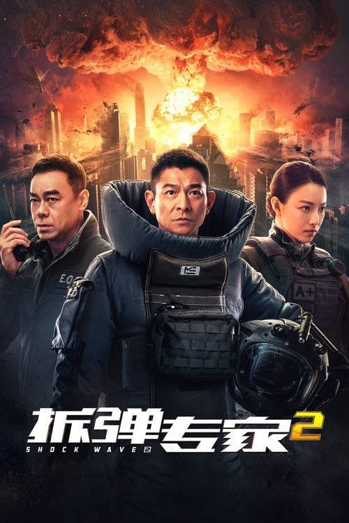 【原盘】拆弹专家2 (2020) 4K REMUX 国粤多音轨 内封简繁字幕 - 夸克网盘 资源封面图