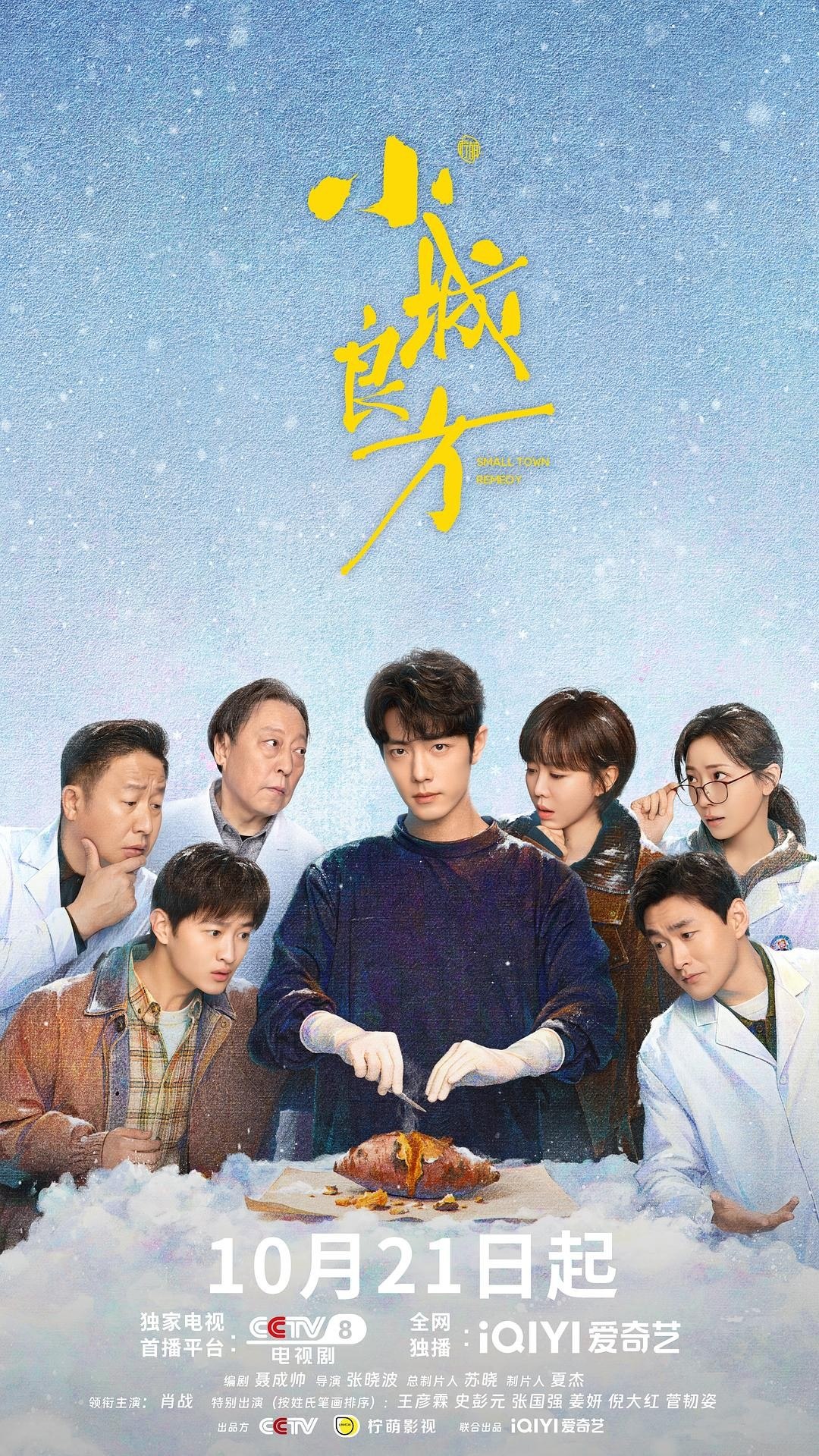 《小城良方》2026 更新至 - 第 04 集 - [4K HDR 高码率] [肖战  倪大红  姜妍] [都市医疗 现实治愈 群像温情] - 夸克网盘 资源封面图