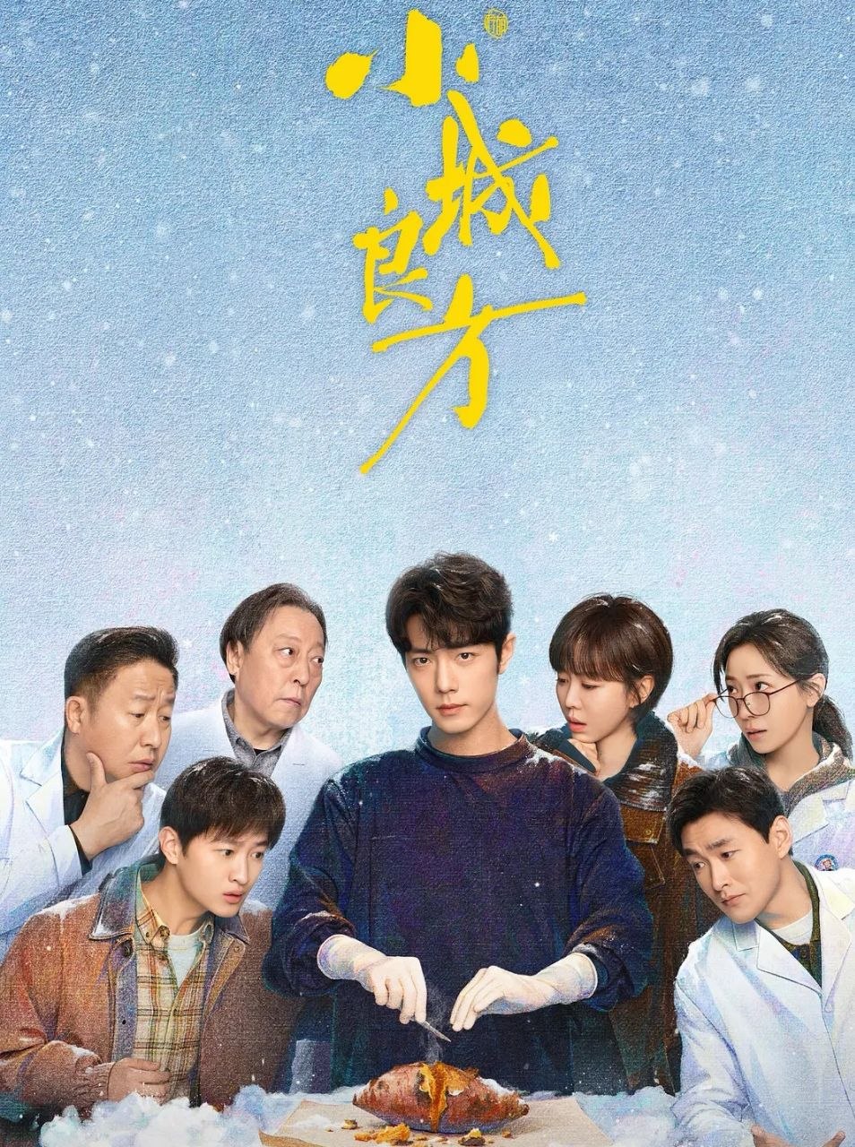 小城良方 (2026)更至12集 [4K][都市生活][肖战/倪大红/丁嘉丽] - 迅雷云盘 资源封面图