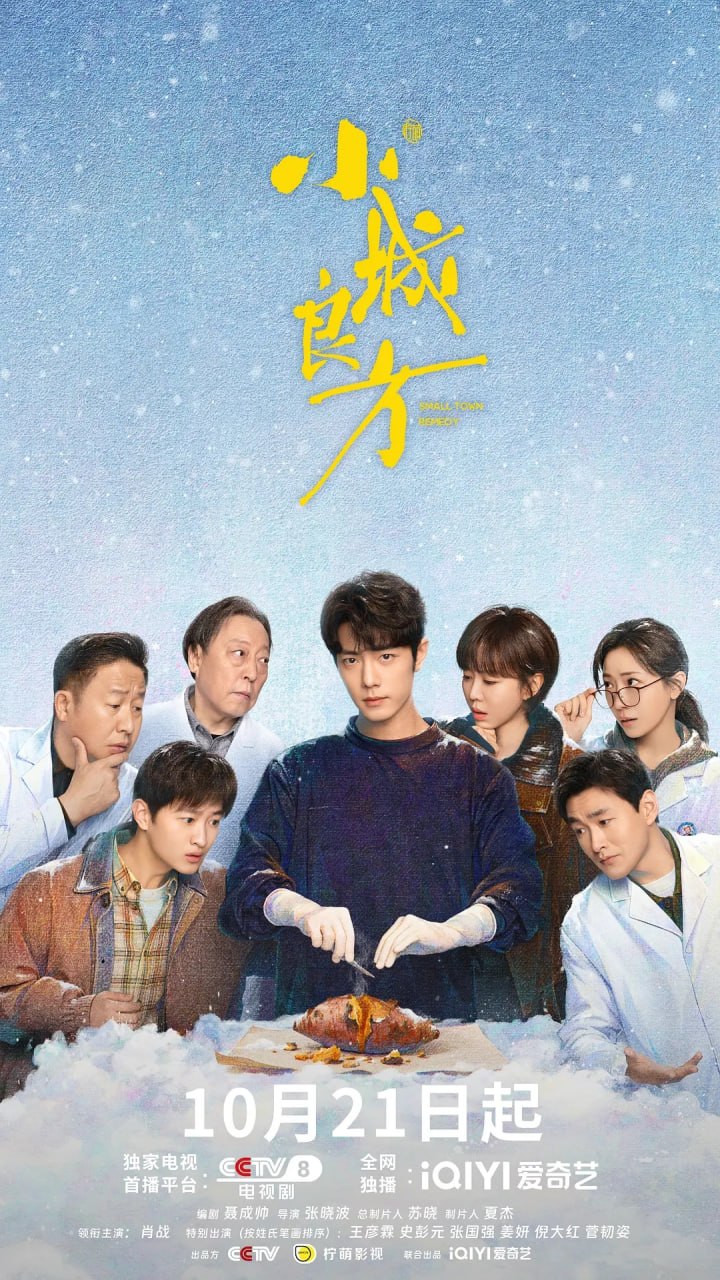 小城良方 (2026) 第1-4集【1080P 无广告无台标无字幕 肖战/倪大红】 - 百度网盘 资源封面图