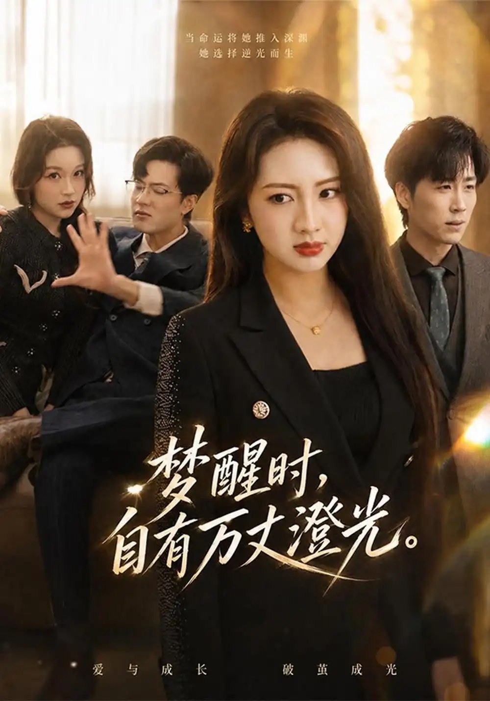 梦醒时，自有万丈澄光（50集）罗潜宇&孙莉 - 夸克网盘 资源封面图